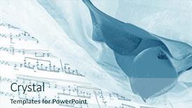  Presentation with calla lily - Amazing theme having calla lily - notes with a beautiful flower backdrop and a sky blue colored foreground