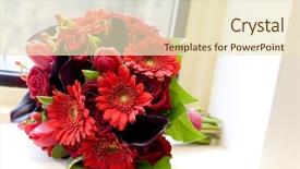  Presentation with whats next in red color on black board - Amazing PPT theme having calla lily - red bouquet next to window backdrop and a  colored foreground