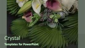  Presentation with wedding calla lily - Cool new PPT layouts with calla-lily-flowers-post-card backdrop and a tawny brown colored foreground