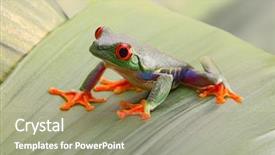  Presentation with costa rica - Audience pleasing PPT layouts consisting of callydrias a small beautiful amphibian backdrop and a gray colored foreground