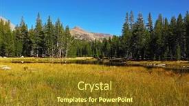  Presentation with yosemite - Presentation theme featuring calm autumn landscape in yosemite national park yellow and green grass pine forest and mountains background and a tawny brown colored foreground