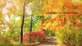  Presentation with oak forest - Colorful PPT layouts enhanced with calm-fall-season-beautiful-landscape backdrop and a gold colored foreground