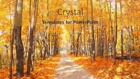  Presentation with forest road green - PPT theme consisting of calm-fall-season-beautiful-landscape background and a gold colored foreground