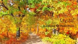  Presentation with oak woodland - PPT layouts consisting of calm-fall-season-beautiful-landscape background and a gold colored foreground