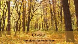  Presentation with fall season - Slide set featuring calm-fall-season-beautiful-landscape background and a gold colored foreground