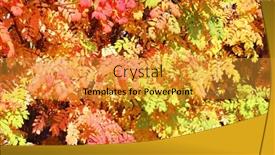  Presentation with woodland - Presentation theme consisting of calm-fall-season-rowan-leaves background and a gold colored foreground