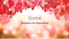  Presentation with fall season - Presentation theme consisting of calm-fall-season-viburnum-leaves background and a cream colored foreground