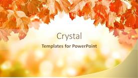  Presentation with fall season - Cool new theme with calm-fall-season-viburnum-leaves backdrop and a cream colored foreground