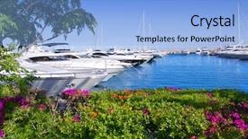  Presentation with bougainvilleas - Theme featuring calvia puerto portals nous view background and a light blue colored foreground