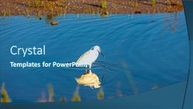  Presentation with france - PPT theme with camargue-in-southern-provence-france background and a ocean colored foreground