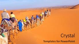  Presentation with camel caravan - Presentation theme consisting of camel caravan going background and a gold colored foreground