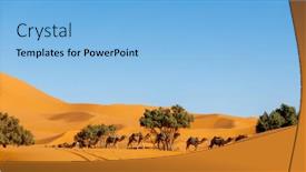  Presentation with camel caravan - Presentation having camel-caravan-in-sahara-desert background and a light blue colored foreground
