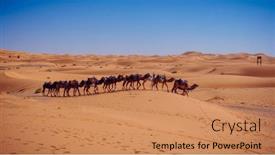  Presentation with camel caravan - Slides enhanced with camel-caravan-in-the-desert and a  colored foreground