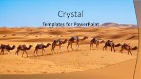  Presentation with camel caravan - Slide set featuring camel-caravan-in-the-sahara background and a light blue colored foreground