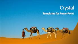  Presentation with camel caravan - Colorful PPT layouts enhanced with camel caravan moving in sahara backdrop and a teal colored foreground