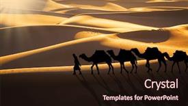 Presentation with camel caravan - Amazing PPT theme having camel caravan moving in sahara backdrop and a wine colored foreground