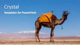  Presentation with camel - Slides enhanced with camel-dromadery-with-atlas-mountain background and a teal colored foreground