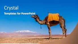  Presentation with camel - Presentation theme having camel-in-morocco-with-atlas background and a teal colored foreground