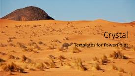  Presentation with sahara - Amazing PPT theme having camel in sand desert backdrop and a gold colored foreground