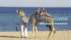  Presentation with camel - Amazing presentation theme having camel-in-the-red-sea backdrop and a ocean colored foreground