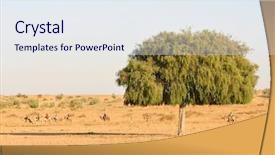  Presentation with oasis - Presentation theme enhanced with camel oasis - tourist caravan in the thar background and a sky blue colored foreground