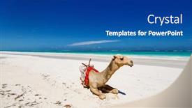  Presentation with kenya - PPT theme consisting of beautiful tropical beach in kenya background and a ocean colored foreground