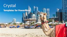  Presentation with camel - Presentation featuring camel-on-dubai-jumeirah-beach background and a teal colored foreground