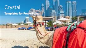  Presentation with camel - Slide set enhanced with camel-on-dubai-jumeirah-beach background and a teal colored foreground