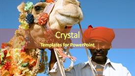  Presentation with cross desert tourists in safari - Slide deck having camel on safari - desert india background and a  colored foreground