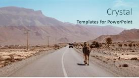  Presentation with camel - 