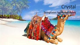  Presentation with camel - PPT layouts consisting of camel ride on the tropical background and a light blue colored foreground