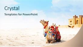  Presentation with camel - Theme featuring camel sitting on a desert background and a cool aqua colored foreground