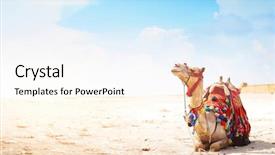  Presentation with camel - Slide deck consisting of camel sitting on a desert background and a cream colored foreground