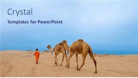  Presentation with landscape desert - Presentation theme with camel-train-in-desert-landscape background and a light blue colored foreground