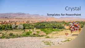  Presentation with tourists - Slides enhanced with camel-waiting-for-tourists-near background and a light blue colored foreground