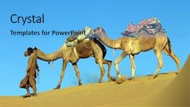  Presentation with caravan - Beautiful slide set featuring cameleer in desert - camels caravan backdrop and a light blue colored foreground