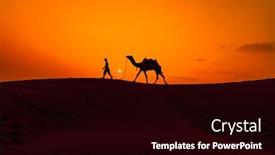  Presentation with drivers - Theme enhanced with cameleers-camel-drivers-at-sunset background and a black colored foreground