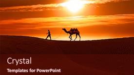  Presentation with drivers - Theme enhanced with cameleers-camel-drivers-at-sunset background and a wine colored foreground