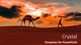  Presentation with drivers - Amazing PPT layouts having cameleers-camel-drivers-at-sunset backdrop and a tawny brown colored foreground