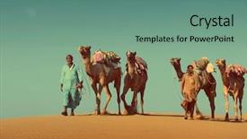 Presentation with camel caravan - Beautiful PPT theme featuring cameleers with camels caravan backdrop and a seafoam green colored foreground