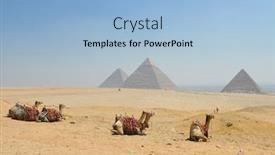  Presentation with cairo - Slide set consisting of camels and giza pyramids - cairo egypt background and a light blue colored foreground