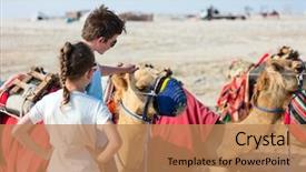  Presentation with qatar - PPT theme with brother and sister with camel background and a coral colored foreground