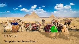  Presentation with cairo - Presentation design enhanced with camels-at-the-foot background and a yellow colored foreground