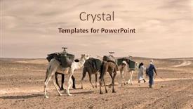  Presentation with sand dunes - Colorful presentation theme enhanced with camels-caravan-in-sahara-desert backdrop and a lemonade colored foreground