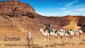  Presentation with caravan - Audience pleasing presentation theme consisting of camels caravan sahara desert algeria backdrop and a coral colored foreground