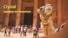  Presentation with petra - Presentation theme having camels in petra jordan background and a tawny brown colored foreground