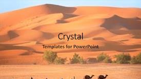  Presentation with clothing - Amazing presentation theme having camels in sahara desert morocco backdrop and a coral colored foreground