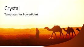  Presentation with sahara - Presentation theme consisting of camels in sahara desert background and a white colored foreground