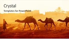  Presentation with caravan - Colorful theme enhanced with camels in sahara desert backdrop and a blonde colored foreground