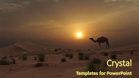  Presentation with dubai - Amazing slides having camels in the dubai desert backdrop and a tawny brown colored foreground